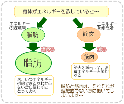 ���o�E���h�̂�����